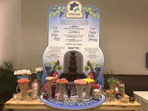 Formal Capa   LEDs  003