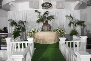 Formal Capa   LEDs  049