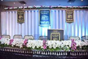 Formal Capa   LEDs  065